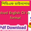 Download English CV in Word format