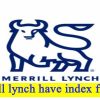 Does merrill lynch have index funds