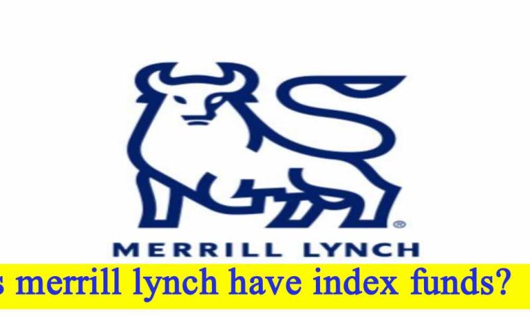 Does merrill lynch have index funds