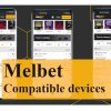 Melbet App bookmaker Review